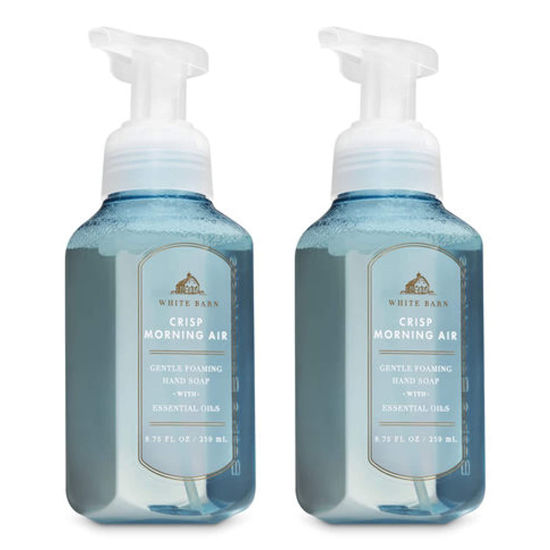 Picture of Bath and Body Works 2 Pack Crisp Morning Air Gentle Foaming Hand Soap. 8 Oz