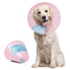 Picture of Supet Dog Cone Collar Adjustable After Surgery, Comfortable Pet Recovery Collar & Cone for Large Medium Small Dogs, Elizabethan Dog Neck Collar Plastic Practical