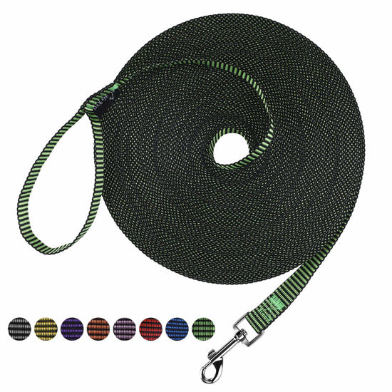 Picture of Hi Kiss Dog/Puppy Obedience Recall Training Agility Lead - 15ft 20ft 30ft 50ft 100ft Training Leash - Great for Training, Play, Camping, or Backyard(100ft,Black_Green)