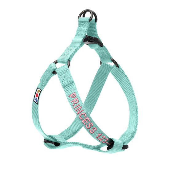 Picture of Pawtitas Personalized Dog Harness Dog Harness with Name Phone Number Puppy Harness Adjustable Customized Harness for Small Dogs Extra Small Breeds and Puppy Teal Extra Small Dog Harness