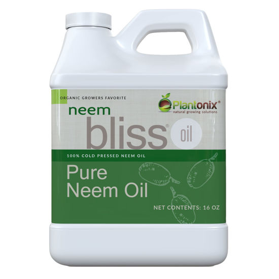 Picture of Neem Bliss (16 Fl Oz) - Pure Neem Oil Concentrate - 100% Cold Pressed Neem Oil - All-Natural Neem Oil Concentrate - Pure Neem Oil Extract - Unrefined Neem Oil for Hair - Neem Seed Oil Concentrate