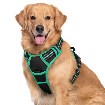 Picture of rabbitgoo Dog Harness, No-Pull Pet Harness with 2 Leash Clips, Adjustable Soft Padded Dog Vest, Reflective No-Choke Pet Oxford Vest with Easy Control Handle for Large Dogs, Black & Turquoise, XL