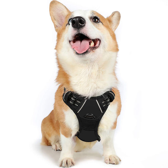 Picture of rabbitgoo Dog Harness, No-Pull Pet Harness with 2 Leash Clips, Adjustable Soft Padded Dog Vest, Reflective No-Choke Pet Oxford Vest with Easy Control Handle for Medium Dogs, Black, M