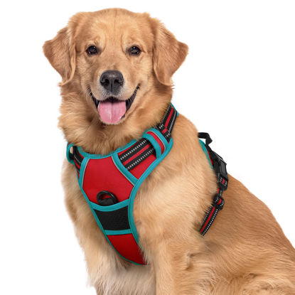 Picture of rabbitgoo Dog Harness, No-Pull Pet Harness with 2 Leash Clips, Adjustable Soft Padded Dog Vest, Reflective No-Choke Pet Oxford Vest with Easy Control Handle for Large Dogs, Red & Teal, XL