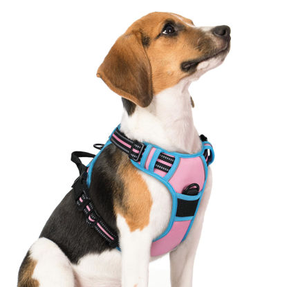 Picture of rabbitgoo Dog Harness, No-Pull Pet Harness with 2 Leash Clips, Adjustable Soft Padded Dog Vest, Reflective No-Choke Pet Oxford Vest with Easy Control Handle for Large Dogs, Pink & Blue, M