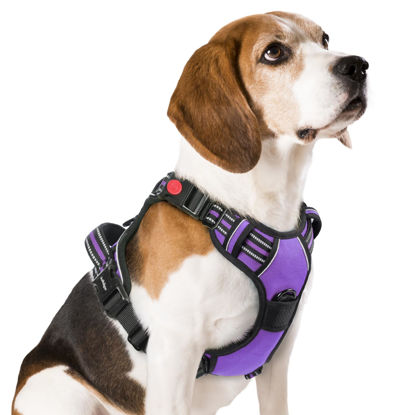 Picture of rabbitgoo Dog Harness Medium Sized, No Pull Pet Harness with 3 Buckles, Adjustable Soft Padded Dog Vest with Instant Control Handle, Easy Walking Reflective Pet Vest for Medium Dogs, Purple, M