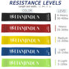 Picture of Professional Resistance Bands. Latex-Free, Work Out Bands, Stretch Bands for Working Out Women or Men, Exercise Bands Set for Physical Therapy (Colour Set (10 Pcs))