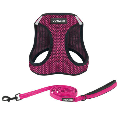 Picture of Voyager Step-in Air All Weather Mesh Harness and Reflective Dog 5 ft Leash Combo with Neoprene Handle, for Small, Medium and Large Breed Puppies by Best Pet Supplies - Fuchsia (2-Tone), S