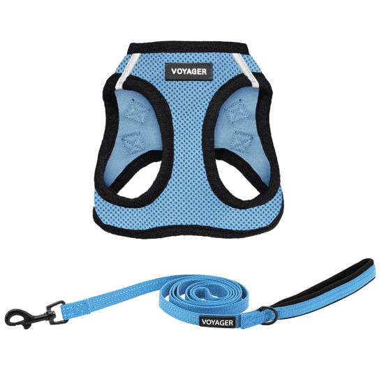 Picture of Voyager Step-in Air All Weather Mesh Harness and Reflective Dog 5 ft Leash Combo with Neoprene Handle, for Small, Medium and Large Breed Puppies by Best Pet Supplies - Baby Blue/Black Trim, Large