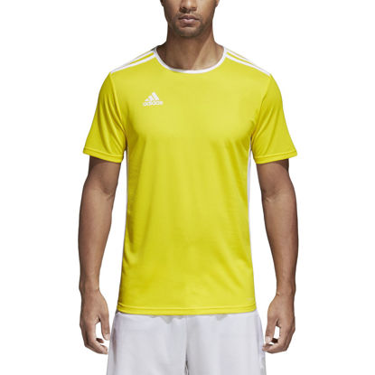 Picture of adidas Men's Entrada 18 Soccer Jersey