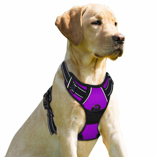 Picture of BARKBAY No Pull Dog Harness Front Clip Heavy Duty Reflective Easy Control Handle for Large Dog Walking(Purple,M)