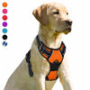 Picture of BARKBAY No Pull Dog Harness Front Clip Heavy Duty Reflective Easy Control Handle for Large Dog Walking(Orange,L)