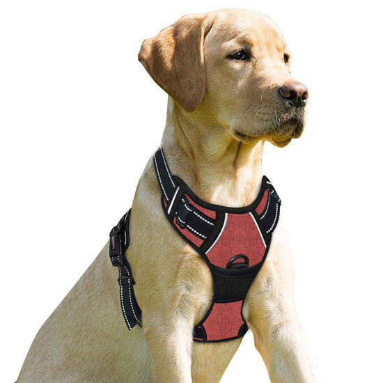 Picture of BARKBAY No Pull Dog Harness Front Clip Heavy Duty Reflective Easy Control Handle for Large Dog Walking(Rio Red,XL)