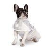 Picture of HDE Dog Raincoat Hooded Slicker Poncho for Small to X-Large Dogs and Puppies Clear - M