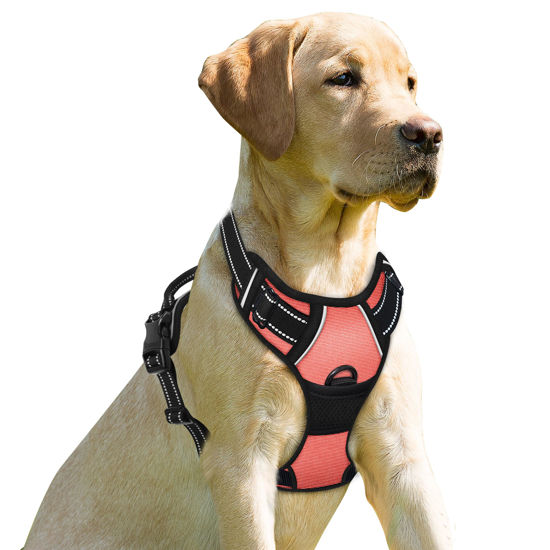 Picture of BARKBAY No Pull Dog Harness Front Clip Heavy Duty Reflective Easy Control Handle for Large Dog Walking(Light Pink,M)