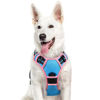 Picture of Eagloo Dog Harness for Large Dogs, No Pull Service Vest with Reflective Strips and Control Handle, Adjustable and Comfortable for Easy Walking, No Choke Harness with 2 Metal Rings, Pink & Blue, XL