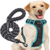 Picture of tobeDRI No Pull Dog Harness Adjustable Reflective Oxford Easy Control Medium Large Harness with A Free Heavy Duty 5ft Dog Leash