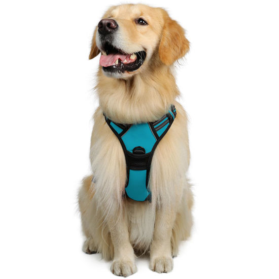 Picture of rabbitgoo Dog Harness, No-Pull Pet Harness with 2 Leash Clips, Adjustable Soft Padded Dog Vest, Reflective No-Choke Pet Oxford Vest with Easy Control Handle for Large Dogs, Teal, XL