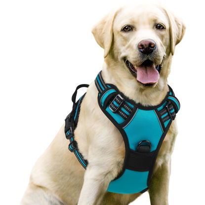 Picture of rabbitgoo Dog Harness, No-Pull Pet Harness with 2 Leash Clips, Adjustable Soft Padded Dog Vest, Reflective No-Choke Pet Oxford Vest with Easy Control Handle for Large Dogs, Teal, L