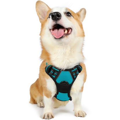 Picture of rabbitgoo Dog Harness, No-Pull Pet Harness with 2 Leash Clips, Adjustable Soft Padded Dog Vest, Reflective No-Choke Pet Oxford Vest with Easy Control Handle for Large Dogs, Teal, M