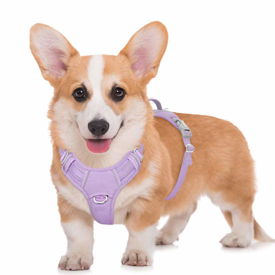 Picture of BARKBAY No Pull Dog Harness Large Step in Reflective Dog Harness with Front Clip and Easy Control Handle for Walking Training Running with ID tag Pocket(Violet Purple,M)