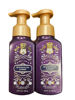 Picture of Bath and Body Works Foaming Hand Soap (Sugar Plum & Rose 2 pk)