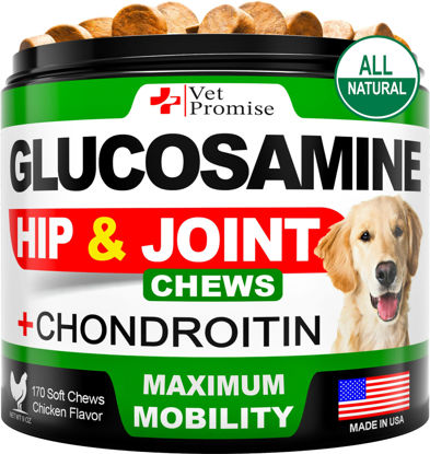 Picture of Glucosamine for Dogs - Hip and Joint Supplement for Dogs - Glucosamine Chondroitin for Dogs - Dog Joint Pain Relief - MSM - Hemp - Advanced Support Dog Joint Supplement - 170 Mobility Chews