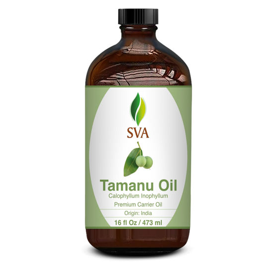 Picture of SVA Tamanu Seed Oil - 16 Fl Oz - 100% Natural Cold Pressed Tamanu Oil - for Face, Skin Care, Hair Care, Scalp Massage & Body Massage - Carrier Oil