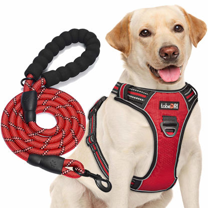 Picture of tobeDRI No Pull Dog Harness Adjustable Reflective Oxford Easy Control Medium Large Dog Harness with A Free Heavy Duty 5ft Dog Leash (M (Neck: 14.5"-20.5", Chest: 22"-28"), Red Harness+Leash)