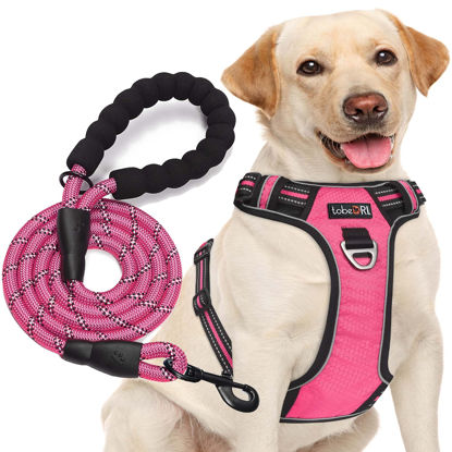 Picture of tobeDRI No Pull Dog Harness Adjustable Reflective Oxford Easy Control Medium Large Harness with A Free Heavy Duty 5ft Dog Leash (L (Neck: 18"-25.5", Chest: 24.5"-33"), Pink)