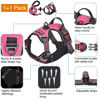 Picture of tobeDRI No Pull Dog Harness Adjustable Reflective Oxford Easy Control Medium Large Harness with A Free Heavy Duty 5ft Dog Leash (L (Neck: 18"-25.5", Chest: 24.5"-33"), Pink)