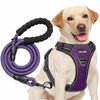 Picture of tobeDRI No Pull Dog Harness Adjustable Reflective Oxford Easy Control Medium Large Dog Harness with A Free Heavy Duty 5ft Dog Leash (M (Neck: 14.5"-20.5", Chest: 22"-28"), Purple Harness+Leash)