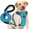 Picture of tobeDRI No Pull Dog Harness Adjustable Reflective Oxford Easy Control Medium Large Dog Harness with A Free Heavy Duty 5ft Dog Leash