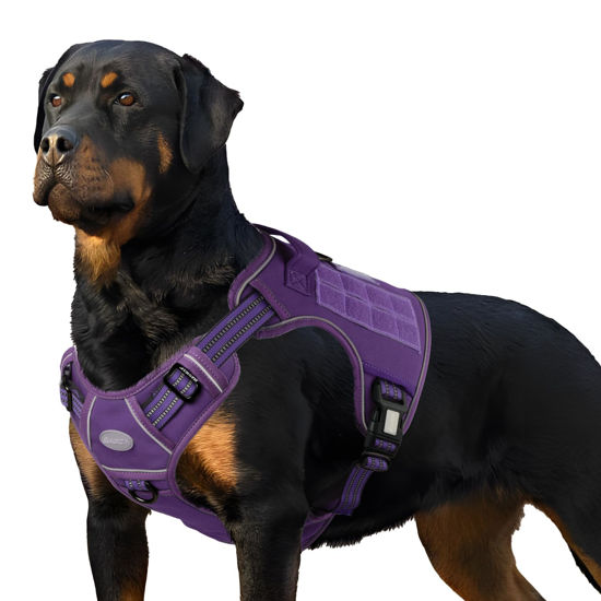 Picture of Auroth Tactical Dog Harness for Large Dogs No Pull Adjustable Pet Harness Reflective K9 Working Training Easy Control Pet Vest Military Service Dog Harnesses Purple L