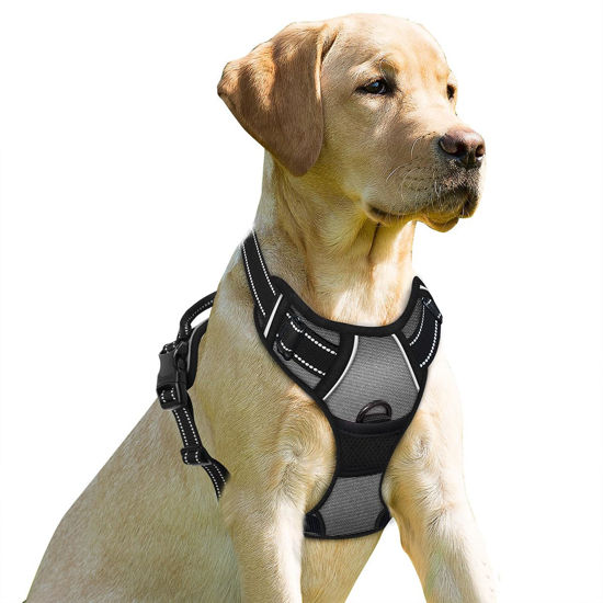 Picture of BARKBAY No Pull Dog Harness Front Clip Heavy Duty Reflective Easy Control Handle for Large Dog Walking(Dark Grey,L)