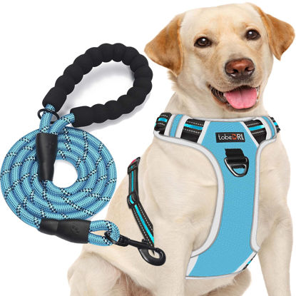 Picture of tobeDRI No Pull Dog Harness Adjustable Reflective Oxford Easy Control Medium Large Dog Harness with A Free Heavy Duty 5ft Dog Leash