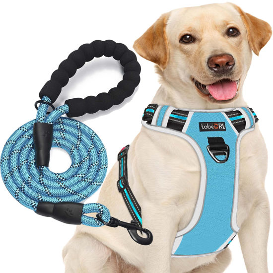 Picture of tobeDRI No Pull Dog Harness Adjustable Reflective Oxford Easy Control Medium Large Dog Harness with A Free Heavy Duty 5ft Dog Leash