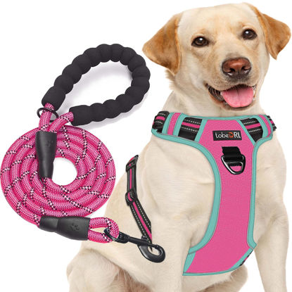 Picture of tobeDRI No Pull Dog Harness Adjustable Reflective Oxford Easy Control Medium Large Dog Harness with A Free Heavy Duty 5ft Dog Leash