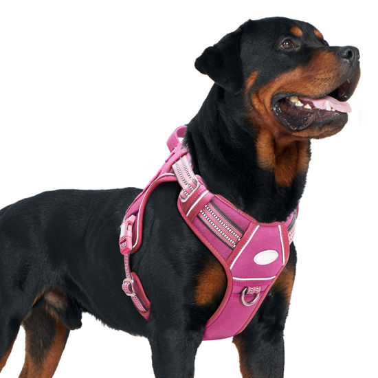 Picture of Auroth Tactical Dog Harness for Large Dogs No Pull Adjustable Pet Harness Reflective K9 Working Training Easy Control Pet Vest Military Service Dog Harnesses Rose Red XL