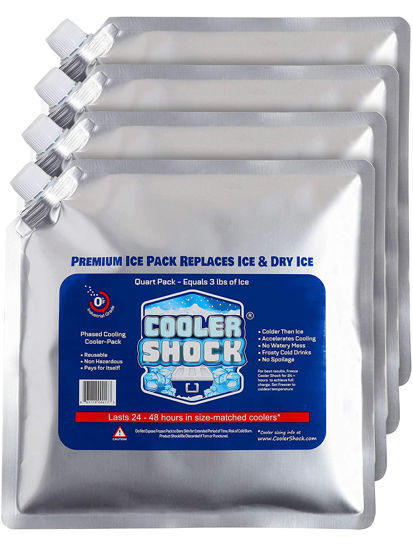 Picture of Cooler Shock Ice Packs for Cooler - Long Lasting Reusable Freezer Packs for Coolers - Cooler Ice Packs for Camping Gear, Fishing, Road Trips, Beach Must Haves, Medium