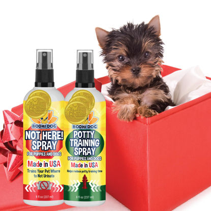 Picture of Bodhi Dog Potty Training Spray | Indoor Outdoor Potty Training Aid for Dogs & Puppies | Puppy Potty Training for Potty Pads | Made in USA (New Puppy Bundle)