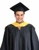 Picture of GRADWYSE Science Master Hood M.S. Graduation Master Degree Hood, Various College Colors Available Golden Yellow (Green/White)