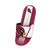 Picture of FOCO Arizona Cardinals NFL Mens Team Stripe Gel Slide - S