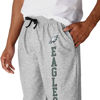 Picture of foco NFL Mens Athletic Gray Lounge Pants - S