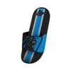 Picture of FOCO Carolina Panthers NFL Mens Team Stripe Gel Slide - L