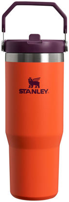 Picture of Stanley IceFlow Stainless Steel Tumbler Vacuum Insulated Water Bottle for Home, and Car Reusable Cup with Straw Leak Resistant Flip Cold for 12 Hours or Iced for 2 Days, Tigerlily Plum, 30 OZ / 0.89 L