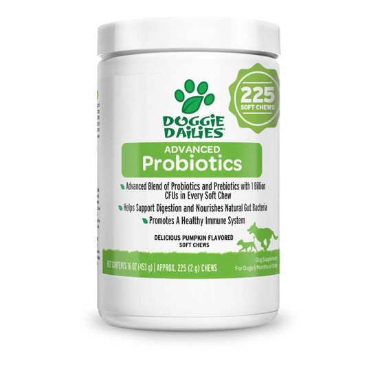 Picture of Doggie Dailies Probiotics for Dogs, 225 Soft Chews, Advanced Dog Probiotics with Prebiotics, Promotes Digestive Health, Supports Immune System and Overall Health (Pumpkin)