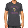 Picture of Team Fan Apparel NFL Adult Gameday T-Shirt - Cotton Blend - Tagless - Semi-Fitted - Unleash Your Team Spirit During Game Day (Minnesota Vikings - Gray, Adult Large)