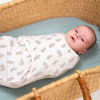 Picture of aden + anais™ Essentials Easy Swaddle™ wrap 1.5 TOG 3 Pack Little Woods Velboa (0-3 Months)