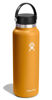 Picture of Hydro Flask 40 Oz Wide Mouth Flex Cap Fossil